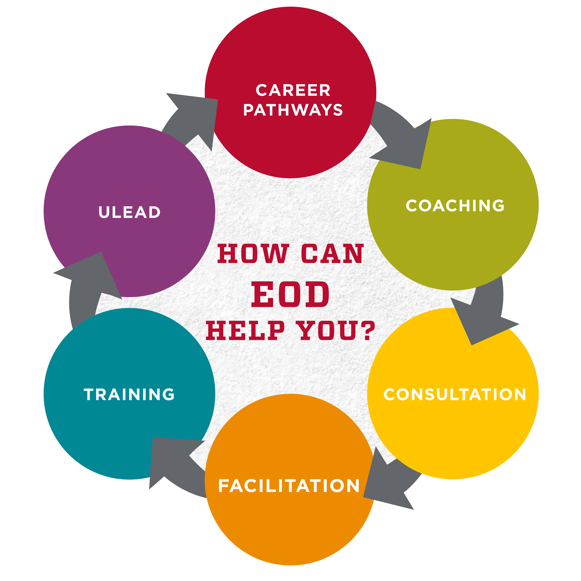 How can EOD help you? Career Pathways, Coaching, Consultation, Facilitation, Training, Ulead